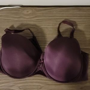 Torrid curves bra